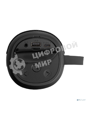 Караоке-система ExeGate Bro 310 Bluetooth черный