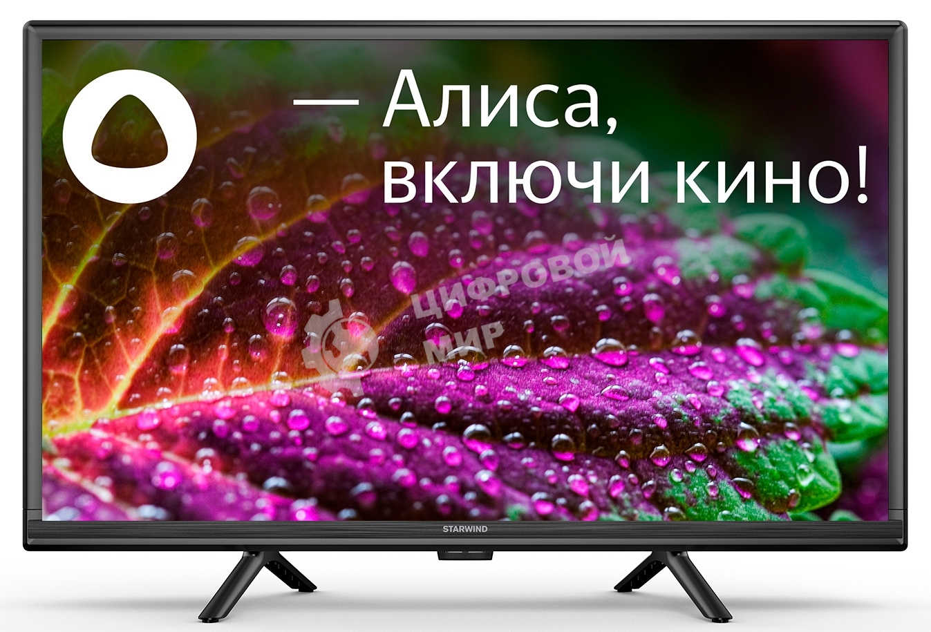 Телевизор Starwind 24