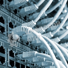 Кабель витая пара Rexant F/UTP, cat.5e, PVC, 25PR, 24AWG, INDOOR, SOLID, серый, 305м