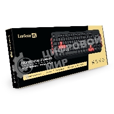 Клавиатура проводная ExeGate Multimedia Professional Standard LY-505M проводная, USB, черный