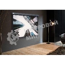 Экран Cactus 183x244см Wallscreen CS-PSW-183X244-SG 4:3 настенно-потолочный рулонный серый