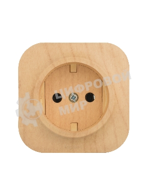 Розетка без заземления без шторок Legrand 782270 (Дерево)