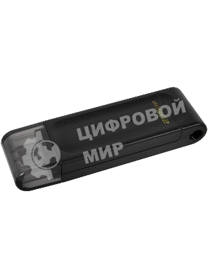 Флешка USB Kingston DataTraveler DT70 (DT70/256Gb), 256Gb, USB Type-C 3.2, R/W 70/45, черный