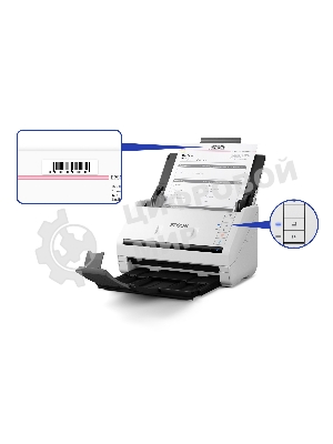 Сканер Epson WorkForce DS-530II A4