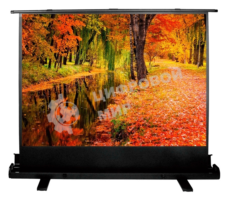 Экран Cactus 150x200 см FloorExpert CS-PSFLE-200X150 4:3 напольный рулонный