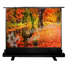 Экран Cactus 150x200 см FloorExpert CS-PSFLE-200X150 4:3 напольный рулонный