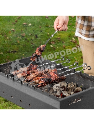 Шампуры с чехлом Camping Palisad 45 см (6 шт.)