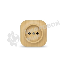 Розетка 1-м ОП 10А IP20 без заземл. сосна IONICH 1442