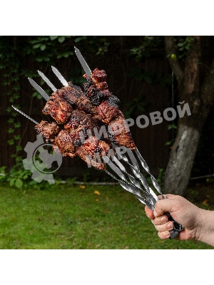 Шампуры с чехлом Camping Palisad 45 см (6 шт.)