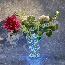 Гирлянда Neon-night 