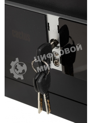 Сейф мебельный Cactus CS-SF-T25 250x350x300мм электронный