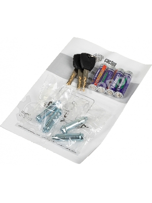 Сейф мебельный Cactus CS-SF-T25 250x350x300мм электронный