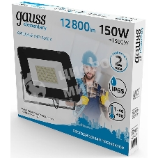 Прожектор светодиодный Gauss Elementary 150W 12800lm 6500К 200-240V IP65 черный LED 1/4
