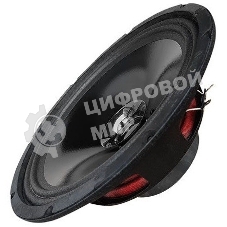 Колонки автомобильные Ural Молот АС-М250 (без решетки) 300Вт 95дБ 4Ом 25 см (10 дюйм) (ком.: 2 кол.) широкополосные однополосные