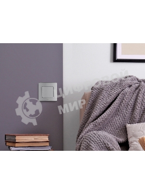 Рамка 1 пост алюминий Inspiria