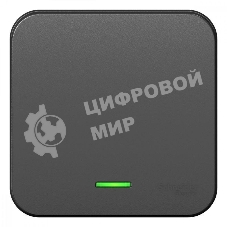 Выключатель 1-кл. ОП Blanca 10А IP20 (сх. 1) 250 В с подсветкой с изолир. пластиной антрацит SchE