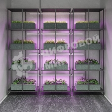 Прозрачный Светильник Gauss Fito TL LED линейный 15W 3000K 1172мм (Full spectrum) 1/25