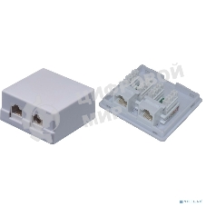 Внешняя сетевая розетка NEOMAX NM-SMB-KJ45-U5E-2PD-102-WH Cat.5E,UTP, 2 порта, белый