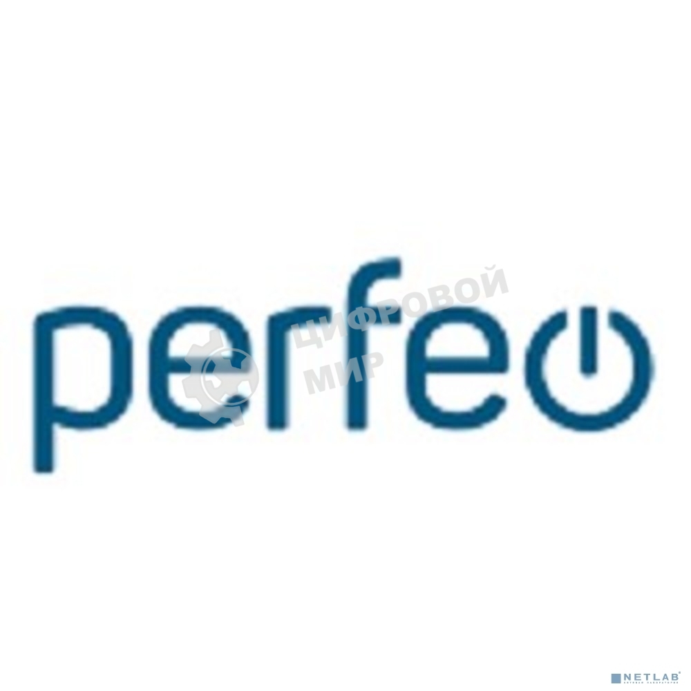 Сетевое зарядное устройство PERFEO с двумя разъемами TYPE-C, GaN, 40W, белый