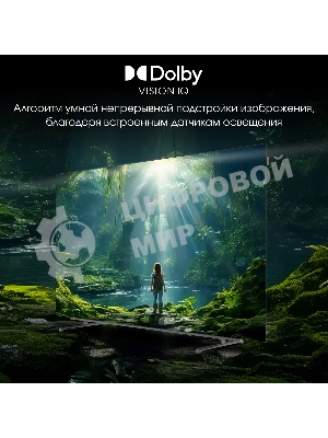 Телевизор Digma 65