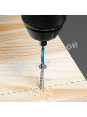 Набор бит торсионных Gross PH1x50 мм, для ударных шуруповертов, 2 шт.