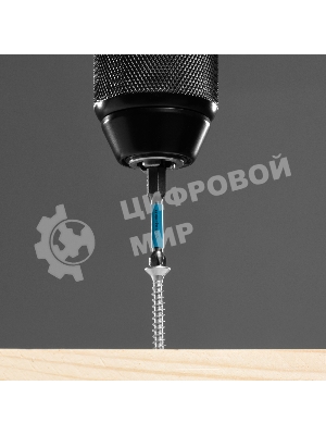 Набор бит торсионных Gross PH2x50 мм, для ударных шуруповертов, 2 шт.