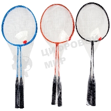 Ecos Набор для игры в бадминтон BdSet-01