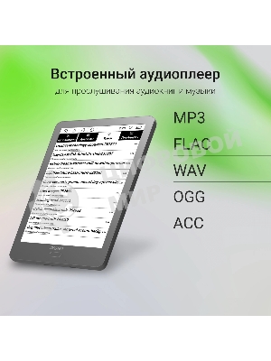 Электронная книга Digma P6 6