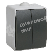 Выключатель 2-кл. ОП ФОРС 10А IP54 сер. ВС20-2-0-ФСр IEK EVS20-K03-10-54-DC