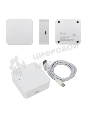 Умный шлюз Securic SEC-GT-101 