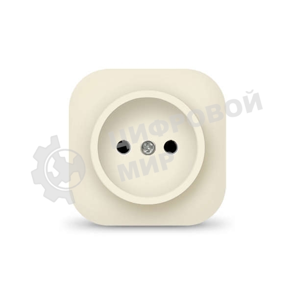Розетка 1-м ОП 10А IP20 без заземл. сл. кость IONICH 1431