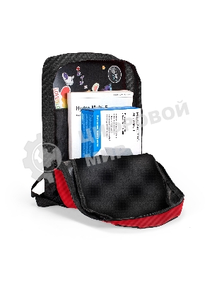 Рюкзак для ноутбука ExeGate Start D1541 Black, черный, полиэстер, 15.6