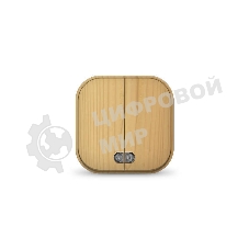 Выключатель 2-кл. 1п ОП 10А IP20 с подсветкой сосна IONICH 1437