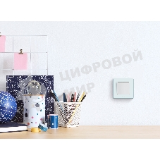 Рамка 1 пост. мятный Inspiria