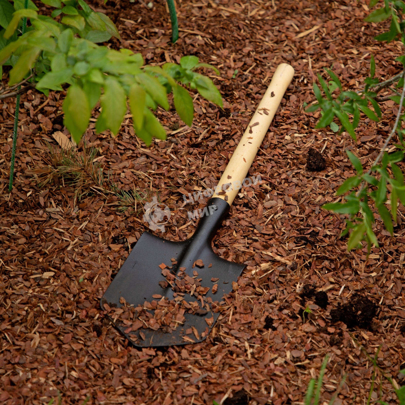 Лопата Россия 