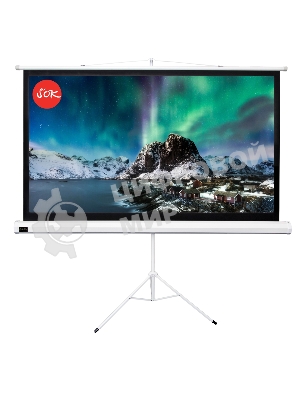 Экран 221x124.5см TriScreen 16:9 напольный рулонный белый100' Matt White (MW)