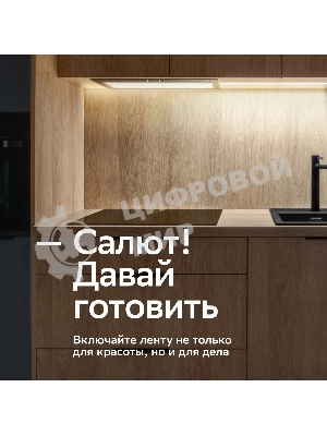 Лента светодиодная для управления светом/электроприборами Sber SBDV-00033