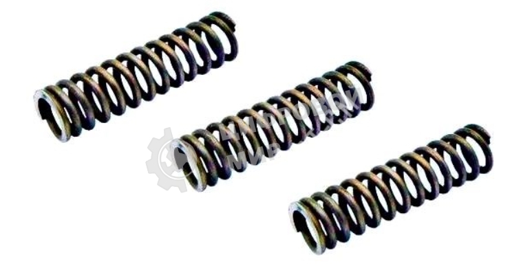 Комплект пружин ЗУ Bosch TCA, Siemens TK Surpresso S