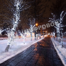 Гирлянда Neon-night LED Клип-лайт 12 V, прозрачный ПВХ, 150 мм, цвет диодов белый