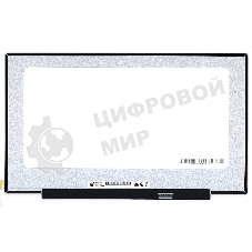 Матрица B173RTN03.0