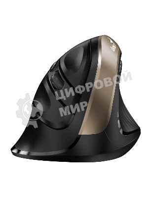 Мышь беспроводная Genius Ergo 8250S черный, 1600 dpi, радиоканал, USB, кнопки - 6