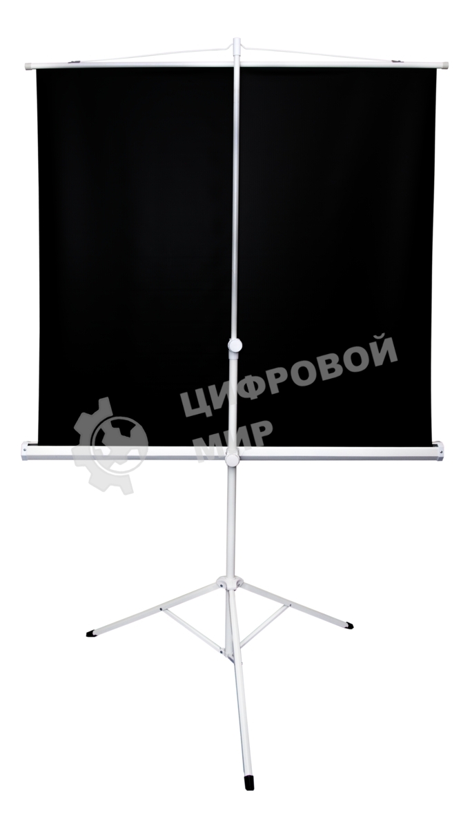 Экран 221x124.5см TriScreen 16:9 напольный рулонный белый100' Matt White (MW)