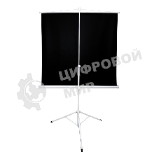 Экран 221x124.5см TriScreen 16:9 напольный рулонный белый100' Matt White (MW)