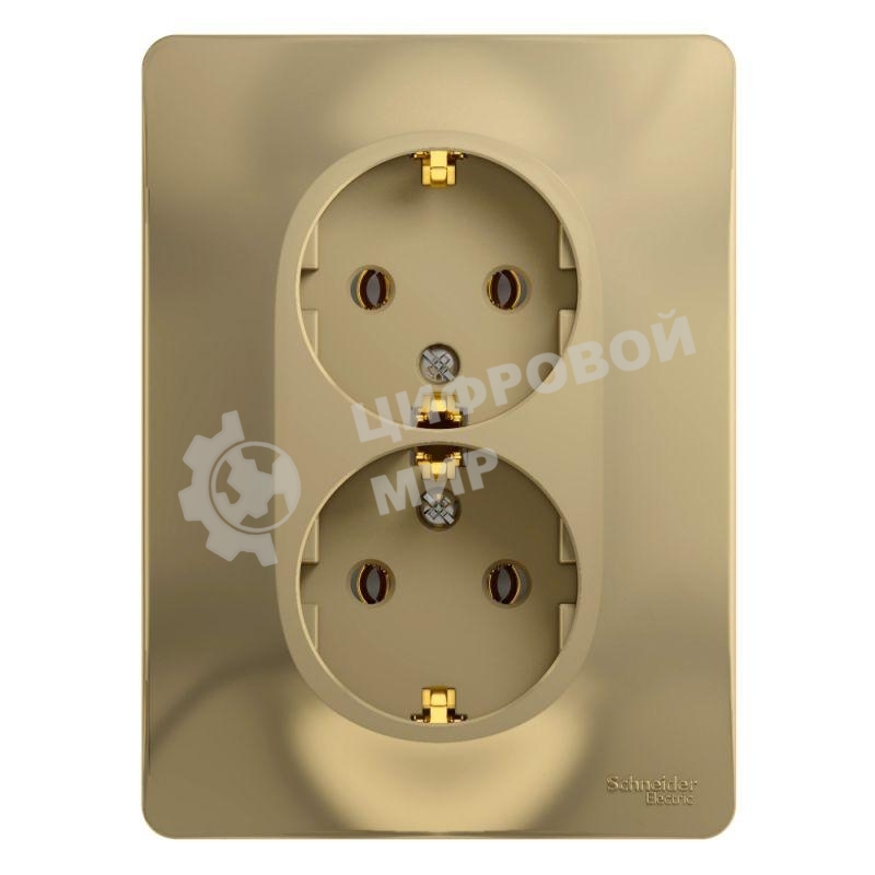 Розетка 2-м СП Glossa в сборе с заземл. в сборе титан SchE GSL000424