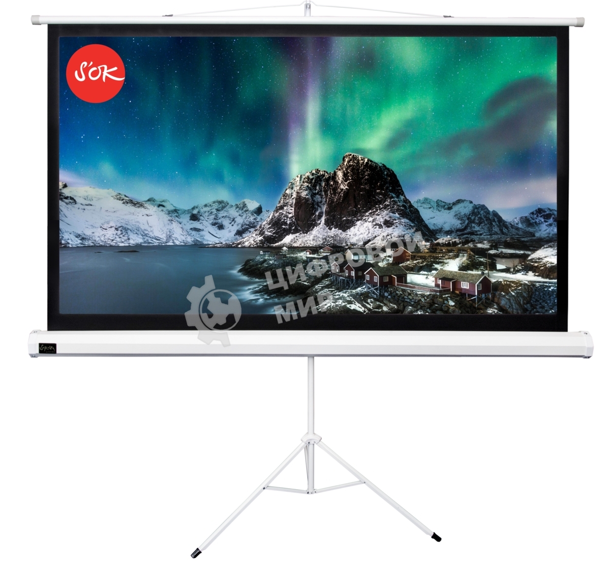 Экран 221x124.5см TriScreen 16:9 напольный рулонный белый100' Matt White (MW), серый корпус