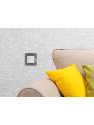 Рамка 1 пост. дымчатый Inspiria