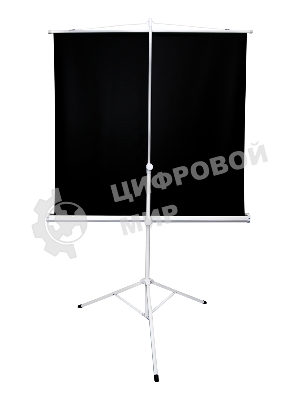 Экран 221x124.5см TriScreen 16:9 напольный рулонный белый100' Matt White (MW), серый корпус