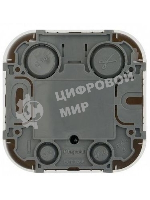 Розетка телевизионная Quteo TV БЕЛ Quteo Розетка TV БЕЛ