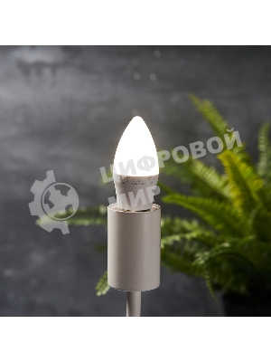 Лампа светодиодная Rexant свеча (CN) 9,5 Вт E27 903 лм 4000 K нейтральный свет