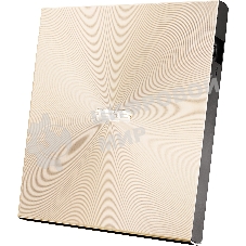 Оптический привод внешний ASUS SDRW-08U9M-U/GOLD/G/AS/P2G, dvd-rw, external ; 90DD02A5-M29000